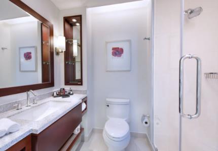 Guyana Marriott Hotel Georgetown - Bathroom